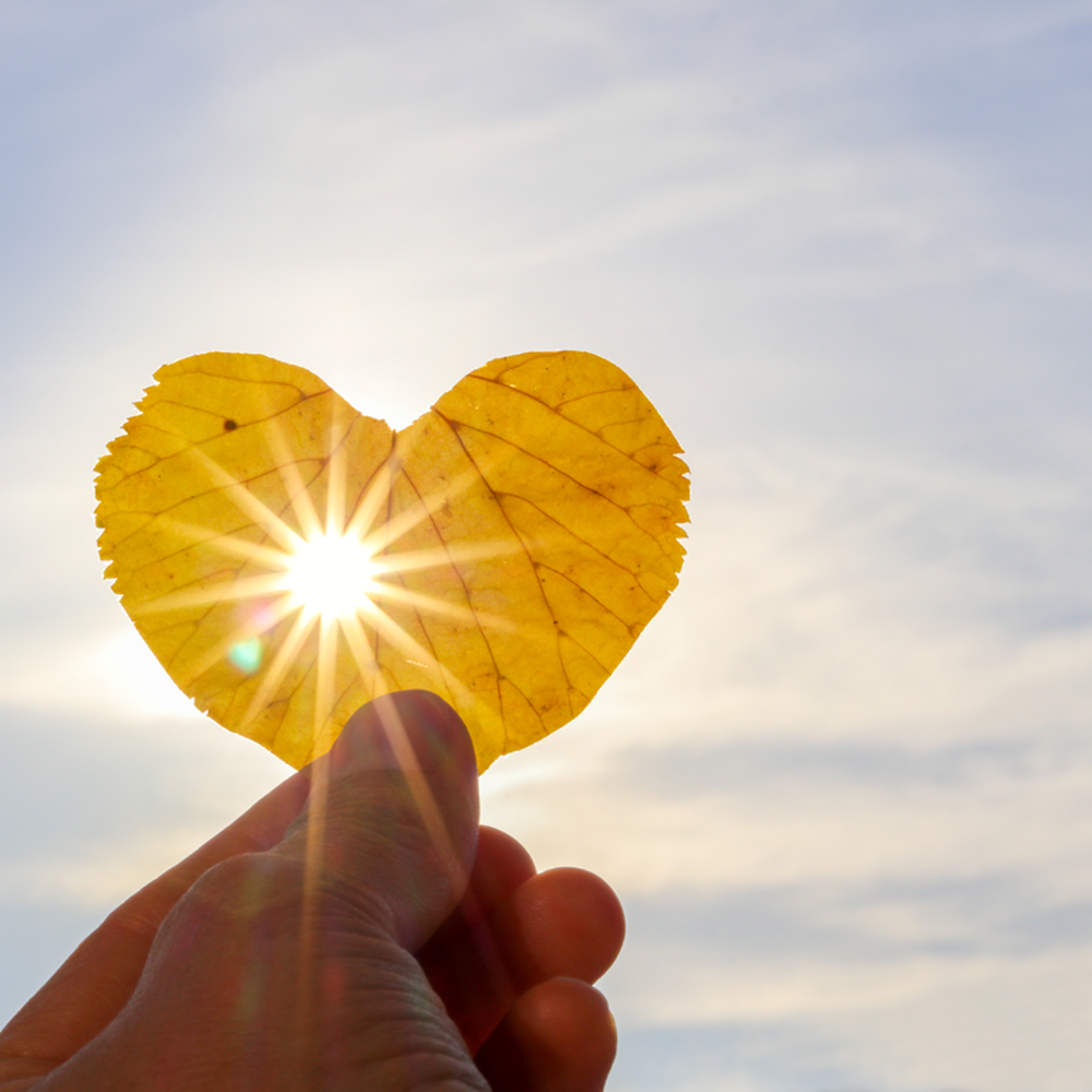 Eine Hand hält ein herzförmiges gelbes Blatt vor einen strahlend blauen Himmel, durch dessen Mitte Sonnenlicht scheint.