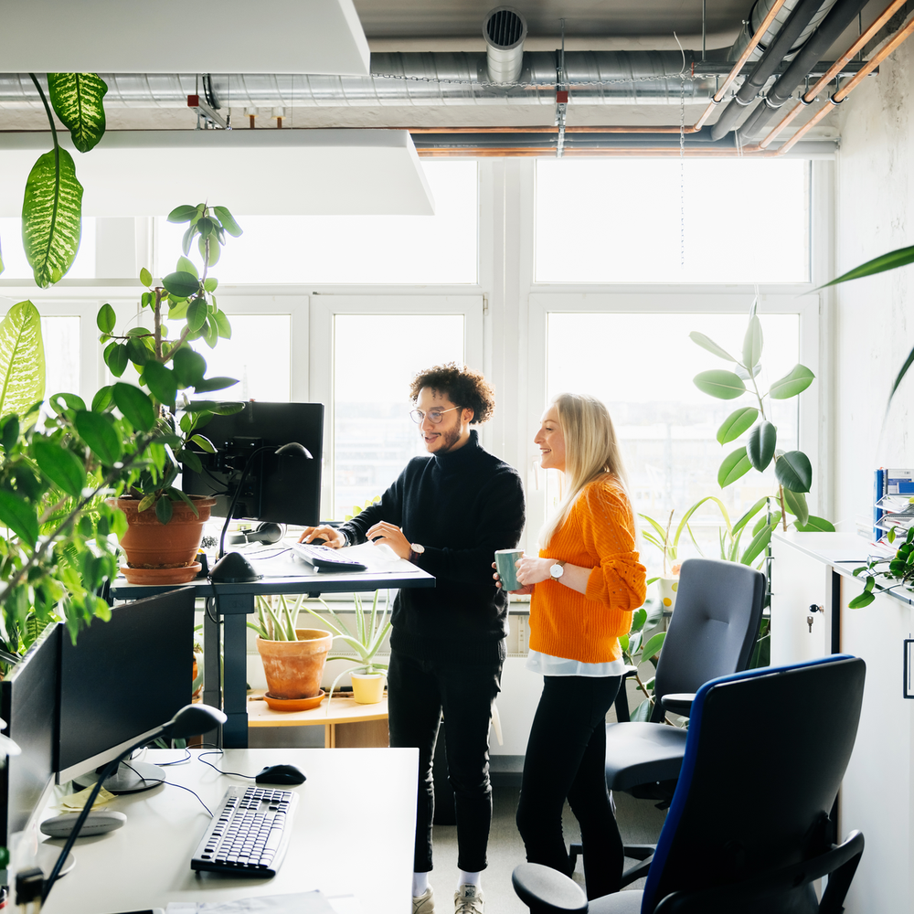 Zwei Personen arbeiten in einem modernen Büro voller Pflanzen, eine steht an einem Stehpult.